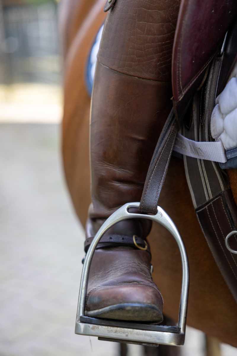 juridische diensten voor de hippische ondernemer