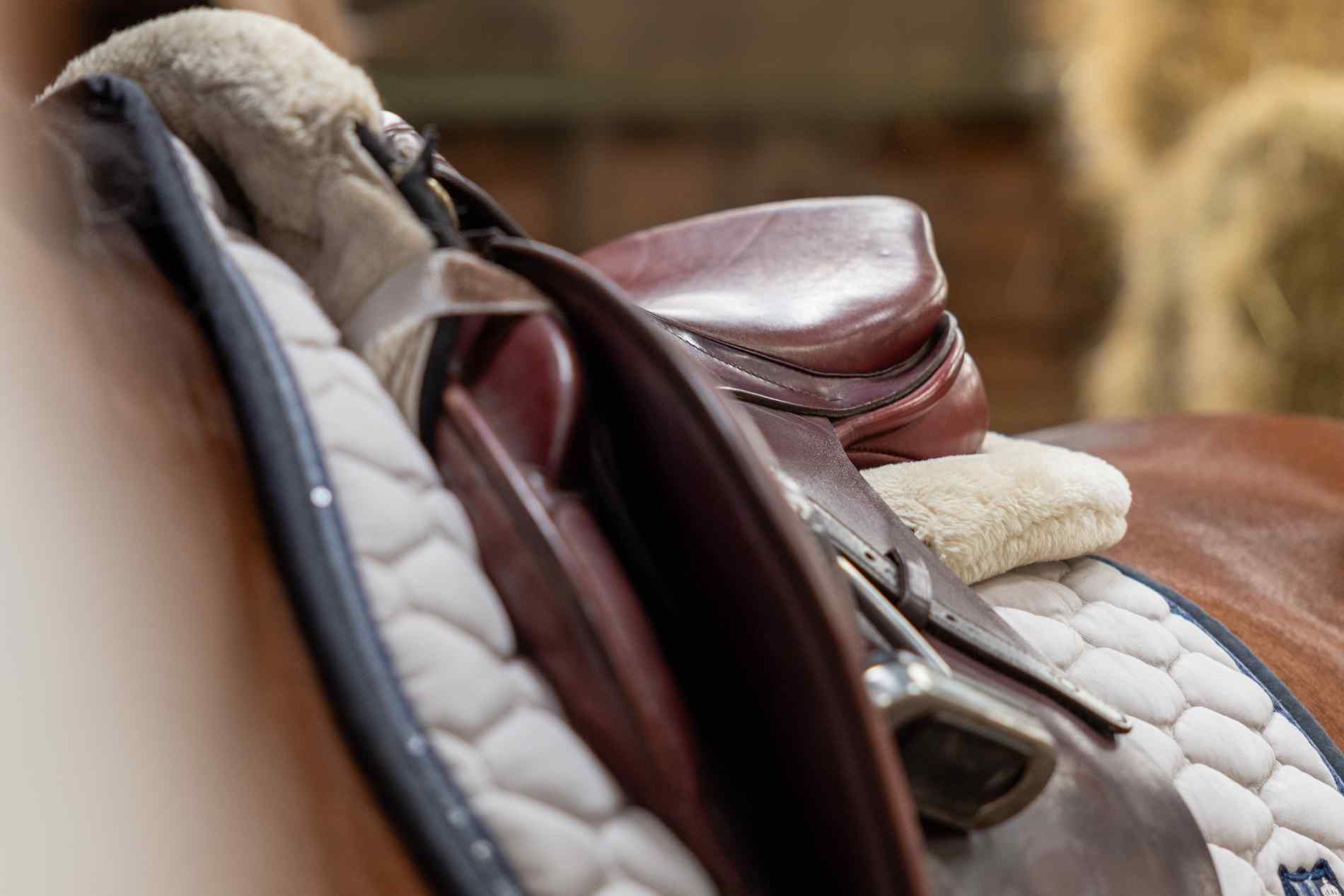 Een paard klinisch keuren is een must voor elke aankoop van een paard