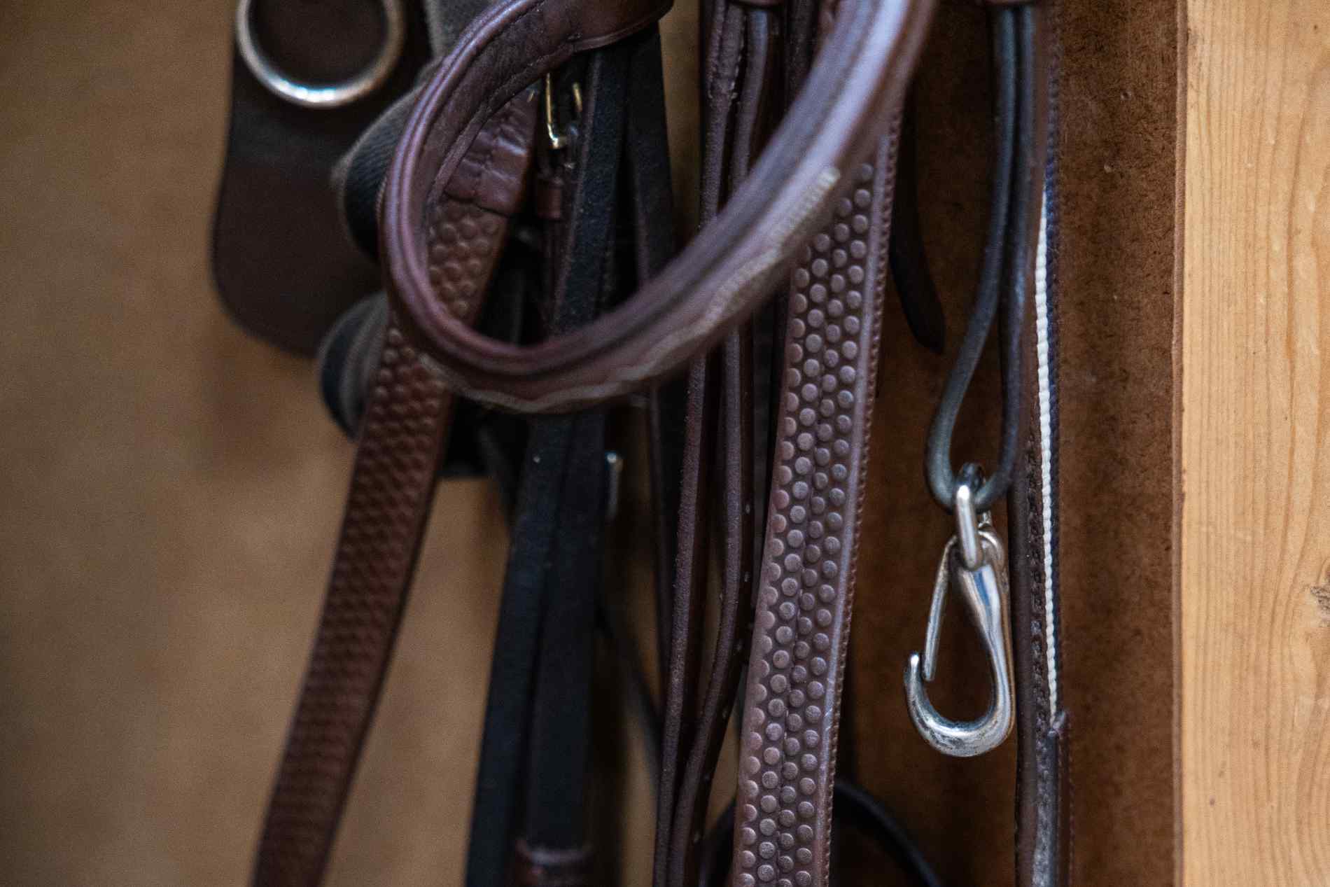 Paard keuren om eventuele gebreken aan het paard te ontdekken. Kosten keuring paard lopen sterk uiteen