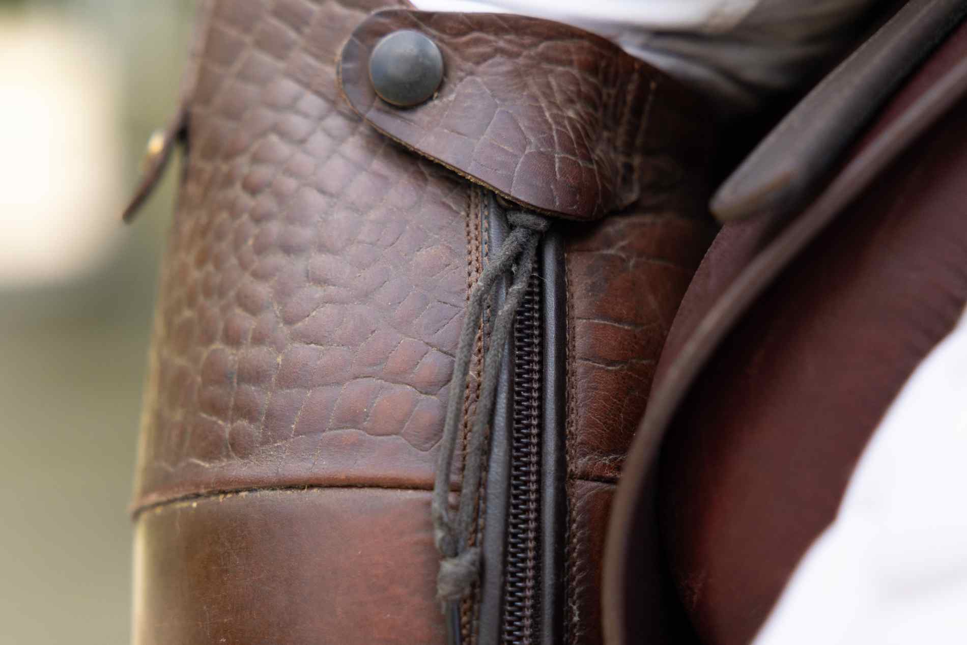 Lease of verhuurovereenkomst laten opstellen voor lease of verhuur paard