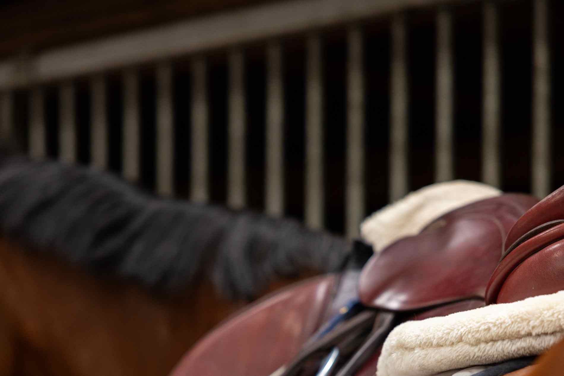 stallingscontract paard laten maken voor manege