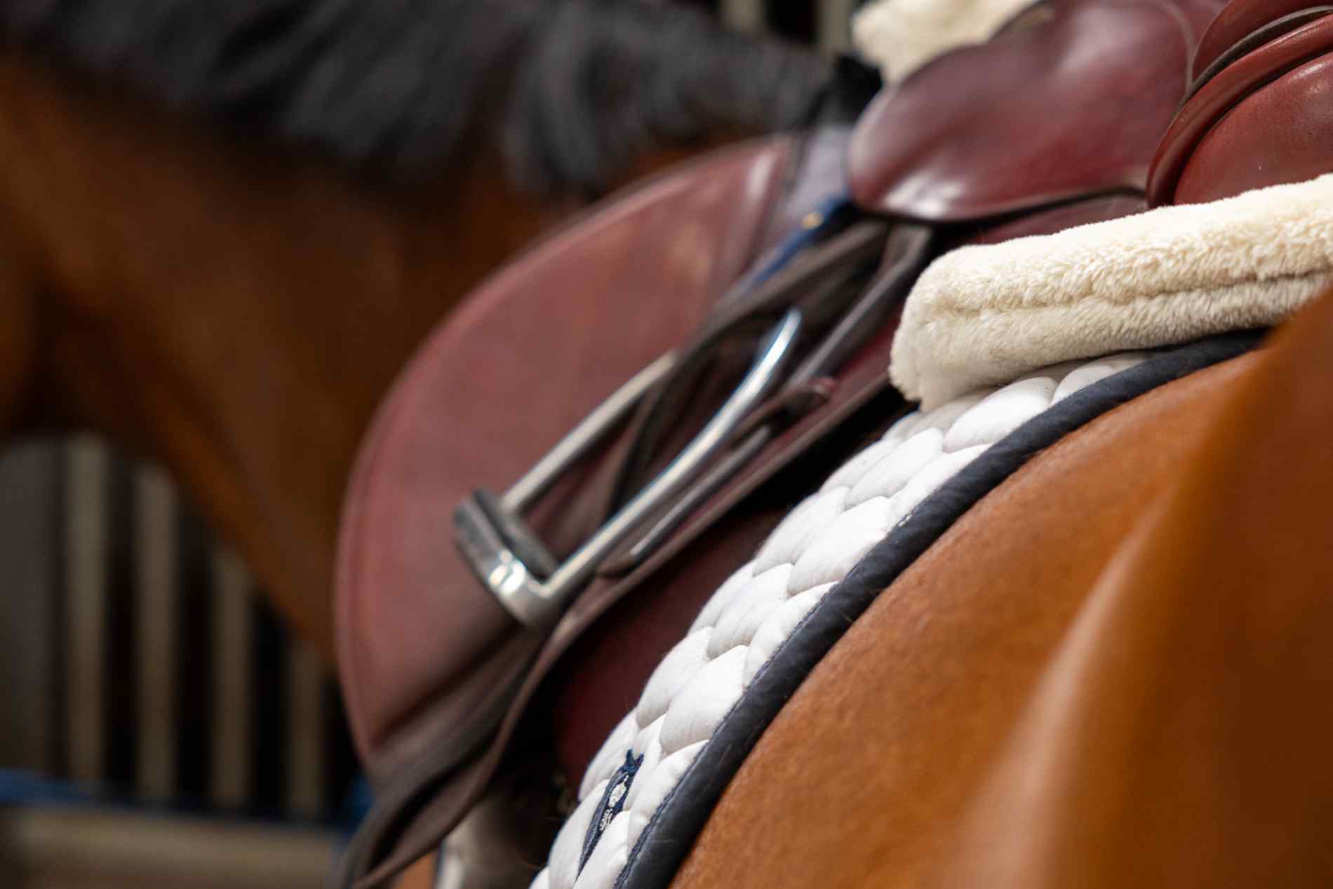 samenwerkingen tussen hippische ondernemingen