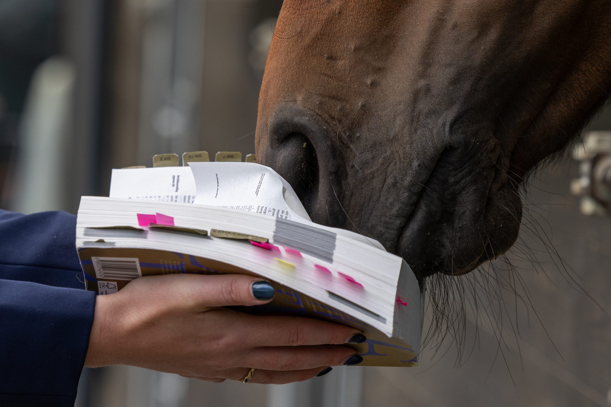 juridische geschillen voorkomen met juiste voorwaarden
