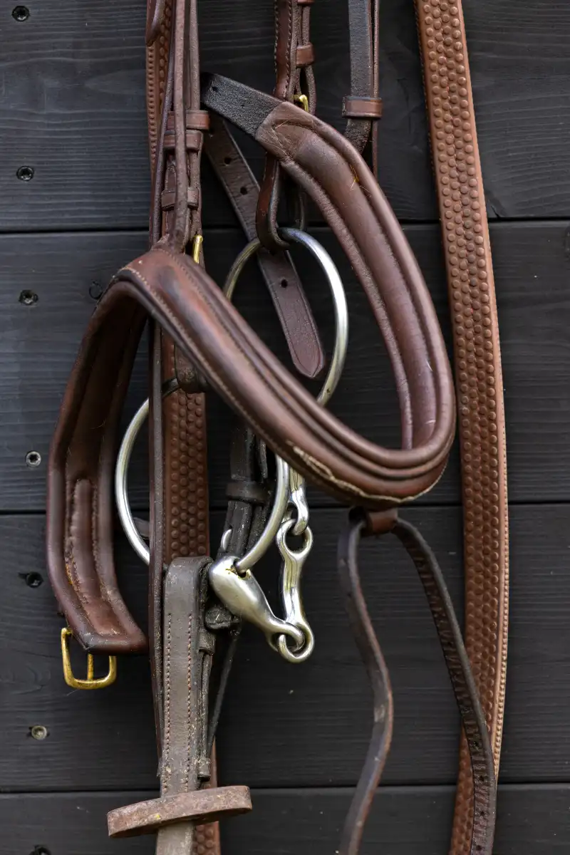 hoe lang ben je aansprakelijk voor verborgen gebrek bij een paard?